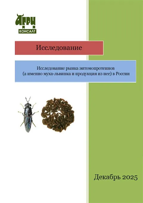 Исследование рынка энтомопротеинов (а именно муха-львинка и продукция из нее) в России