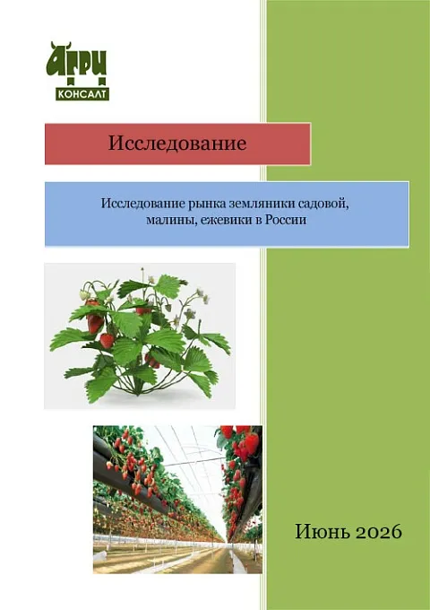 Исследование рынка земляники садовой, малины, ежевики в России