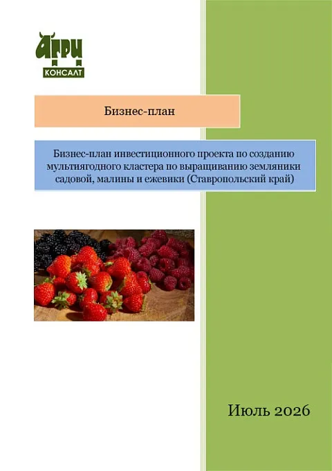 Бизнес-план инвестиционного проекта по созданию мультиягодного кластера по выращиванию земляники садовой, малины и ежевики (Ставропольский край)